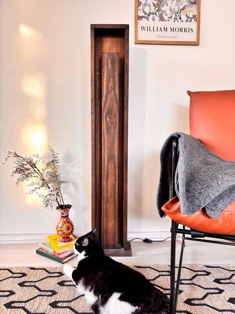 May include: A tall, dark wooden cabinet with a rectangular frame. A black and white cat is lying on a patterned rug in front of the cabinet. A vase with flowers and books are to the left of the cabinet. An orange chair and a framed print are in the background.