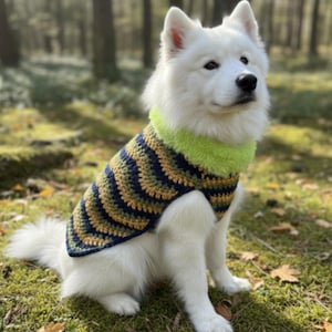 Royal Ripple Crochet Dog Sweater Pattern | Easy Pet Pullover (PDF)