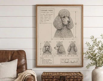 Standard Poodle Blueprint Art | Hand Drawn Dog Illustration, Vintage Anatomy Sketch (18x24 Digital Download)