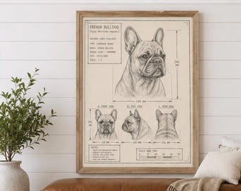 French Bulldog Blueprint Art | Hand Drawn Vintage Veterinary Sketch (Digital Download)