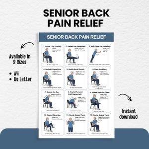 May include: A poster titled "Senior Back Pain Relief" with exercise illustrations. The poster includes 12 exercises with instructions, targeting different areas. Text on the poster indicates it is available in A4 and US Letter sizes, and is an instant download.