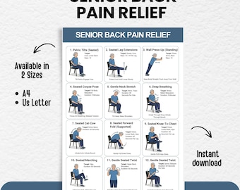 Senior Back Pain Relief Exercises Chart | Gentle Seated Lower Back Workout for Elderly | Printable PDF Digital Download