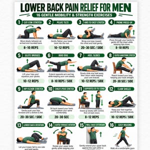 May include: A white instructional poster titled Lower Back Pain Relief for Men featuring 16 numbered exercise illustrations. Each section includes a green header, a graphic of a person performing the movement, instructions, and repetition counts.