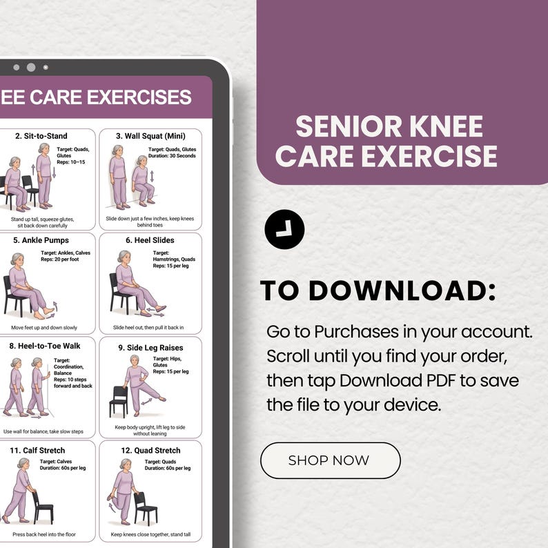Knee Exercises for Seniors Printable, Chair Exercises, Knee Pain Relief ...