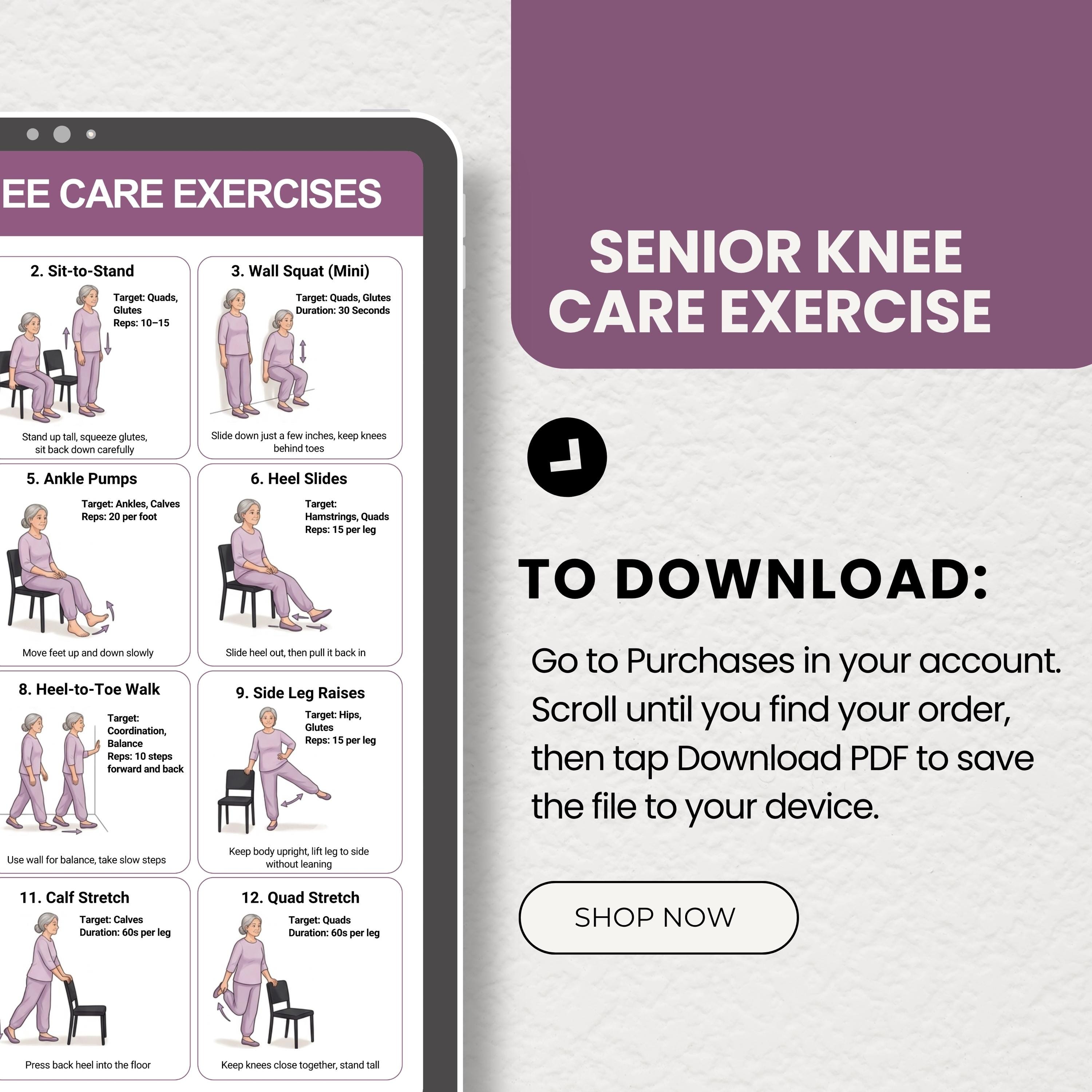 Knee Exercises for Seniors Printable, Chair Exercises, Knee Pain Relief ...