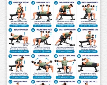 Full Body Dumbbell Bench Workout For Men Printable, 16 Bench Dumbbell, Upper and Lower Body, Back & Leg, Home Strength Training PDF