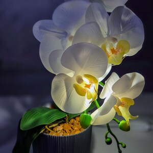 May include: A potted artificial orchid with white petals and yellow centers. The plant is in a dark blue, textured pot with wooden legs, filled with small, brown pebbles. Green leaves and stems add detail.