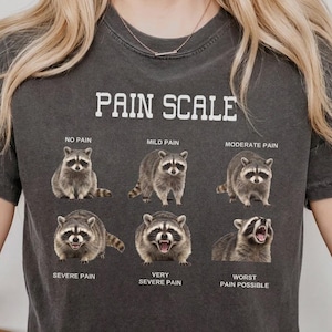 Raccoon Pain Scale, Funny Nurse Gift, Medical Humor Tee, Trash Panda Meme Top