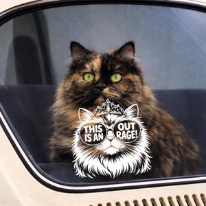 Dungeon Crawler Carl Car Decal, Princess Donut Vinyl Sticker, Funny Cat Quote, LitRPG Fan Art, Waterproof Decal
