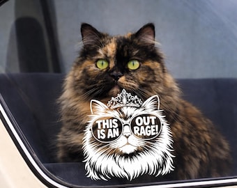 Dungeon Crawler Carl Car Decal, Princess Donut Vinyl Sticker, Funny Cat Quote, LitRPG Fan Art, Waterproof Decal