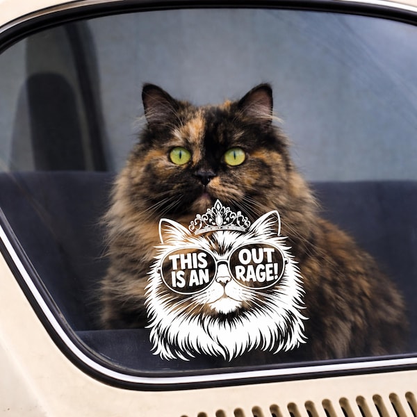 Dungeon Crawler Carl Car Decal, Princess Donut Vinyl Sticker, Funny Cat Quote, LitRPG Fan Art, Waterproof Decal