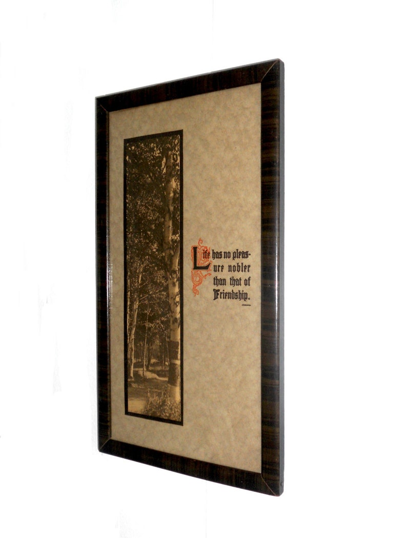 Puede incluir: Obra de arte enmarcada con una escena de bosque en tonos sepia. El marco marr&oacute;n oscuro tiene un patr&oacute;n de vetas de madera. La obra incluye la cita: "Life has no pleasure nobler than that of Friendship."