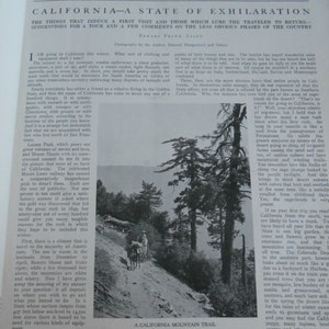 Pu&ograve; includere: Una fotografia in bianco e nero di un sentiero di montagna in California. Il sentiero &egrave; fiancheggiato da alberi e la foto mostra un'occhiata a un cavallo e un cavaliere in lontananza.