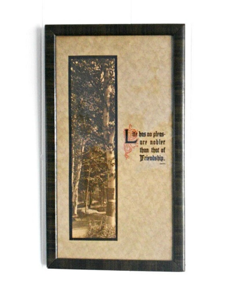 Puede incluir: Impresi&oacute;n art&iacute;stica enmarcada con una fotograf&iacute;a en tonos sepia de &aacute;rboles y la cita, "Life has no pleasure nobler than that of Friendship." El marco es marr&oacute;n oscuro.