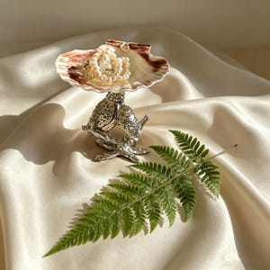 Bol de concha de capiz, plato de concha marina natural, bol de concha de almeja festoneado para decoración costera, exhibición de joyas, bol multiusos, acento para casa de playa.