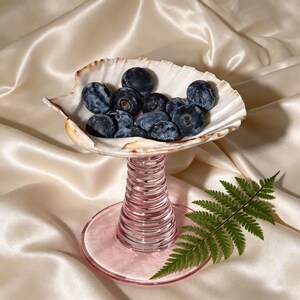 Handcrafted Real Seashell Wine Glass, Natural Conch Martini Cup, Coastal Beach Wedding & Bridesmaid Gift, Ocean Nautical Decor Drinkware.