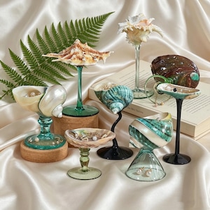 May include: A collection of seashell-shaped jewellery holders. The holders are crafted from glass and seashells, in diverse shapes and colours. Some are mounted on stems, while others sit on cork or black bases. The holders contain jewellery, including pearls and necklaces.