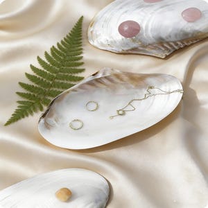 Natural Conch Shell Catchall Tray, Handmade Vanity Dish for Jewelry and Keys, Unique Coastal Home Decor, Heavy Genuine Seashell Bowl.