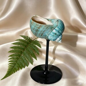 Handcrafted Seashell  Wine Glass,Coastal Beach Ocean Drinkware,Nautical Housewarming Hostess Gift, Handmade Coastal Themed Drinking Glass.