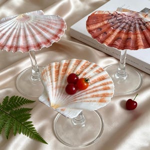 Large Polished White Seashell Bowl,Giant Clam Shell Dish,Natural Mother of Pearl Serving Plate for Caviar, Wine Glass,Coastal Cottage Decor.