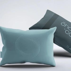 The Shoutlet: Personal Screme Kissen. Rauschunterdrückungs-Tool zum Stressabbau in Wohnungen & Home Offices