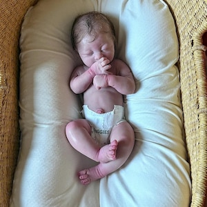 19 Full Body Silicone Reborn Baby Doll – Handcrafted Collectible with Armatures & Deluxe Newborn Accessories