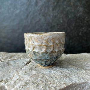 Handbuilt ceramic tea cup - Nature-inspired ceramic art - one of a kind gift - Wabi-sabi pottery