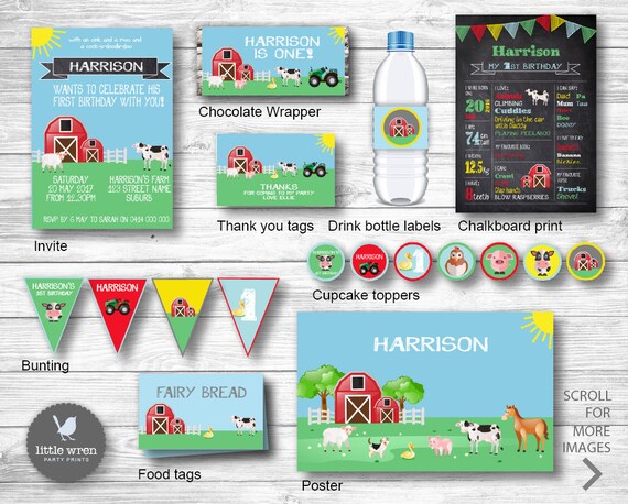 Farmyard Party Decorations Birthday Invitation Farm Farmyard Party Decorations