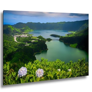May include: A scenic landscape photograph featuring a serene lake surrounded by lush green hills and a small town. The water is a vibrant turquoise color, and the sky is a mix of blue and gray. In the foreground, there are blue and white flowers.