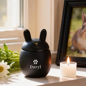 Urna de cremación de cerámica personalizada para mascotas, regalo conmemorativo grabado con láser
