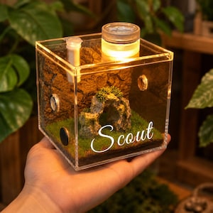 Op de afbeelding: Een vierkant, doorzichtig acrylen terrarium met een rotsformatie, groen mos en een kleine grot. De bovenkant bevat een ronde lamp en een klein wit buisje. Op de voorzijde staat de witte, cursieve tekst Scout in het midden.