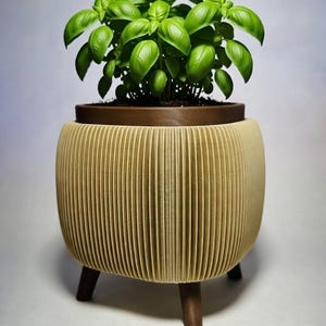 May include: A decorative planter with a basil plant. The planter has a light tan, ribbed exterior and a dark brown rim. The plant has vibrant green leaves. The planter sits on three dark brown legs.
