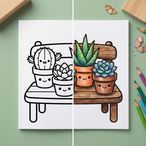 Op de afbeelding: Een gesplitste afbeelding met een kleurplaat en een gekleurde illustratie van vetplanten in potten op een houten bank. De kleurplaat is zwart-wit, terwijl de gekleurde kant groene, blauwe en bruine tinten heeft. Gekleurde potloden en schaafsel staan op de achtergrond.