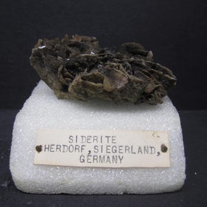 May include: A dark brown siderite mineral specimen with a layered, crystalline structure. The mineral sits on a white foam base, with a label that reads "SIDERITE HERDORF, SIEGERLAND, GERMANY."