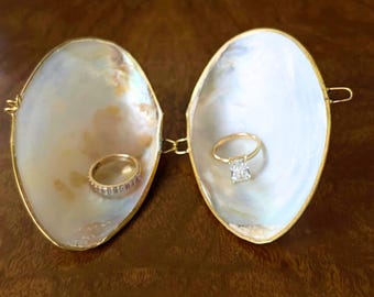 Genuine Shell Trinket Box with Gold Trim