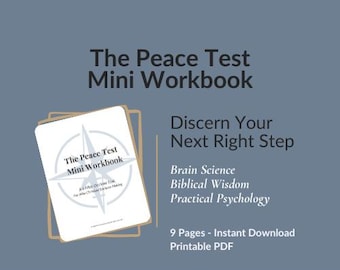 The Peace Test | Christian Discernment Workbook | 6-Step Decision Making Guide | Biblical Wisdom Brain Science