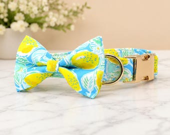 Summer Lemon Dog Collar Set – Personalized Bow Tie Collar with Matching Leash & Custom Name ID