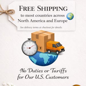Pu&ograve; includere: Un'immagine con la scritta "FREE SHIPPING" sopra una grafica di una scatola di cartone, un furgone di consegna arancione e un cronometro sopra un globo blu. Il testo "No Duties or Tariffs for Our U.S. Customers" &egrave; sotto.