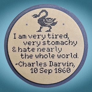 Patrón de punto de cruz (PDF) con la cita de Charles Darwin: "Estoy muy cansado, tengo mucho dolor de estómago".