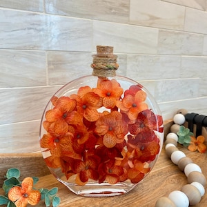 May include: A round, clear glass bottle filled with vibrant orange and red pressed hydrangea flowers. The bottle is sealed with a cork stopper wrapped in a braided jute cord. The floral arrangement inside creates a dense, colorful display.