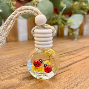 May include: A small, round, clear glass bottle filled with liquid, two red ladybug figurines, and small yellow dried flowers. The bottle features a ribbed light-colored wooden cap and is suspended by a thick, braided beige rope with gold thread.