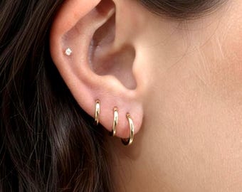May include: Close-up of an ear with three small, gold hoop earrings and a single, small stud earring. The earrings are simple and elegant, reflecting light. The skin tone is fair, and the hair is dark.