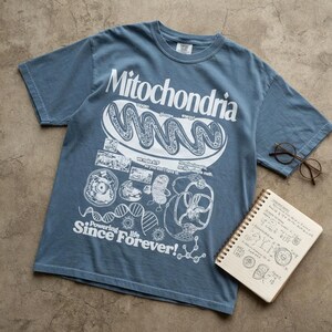May include: A blue short-sleeve t-shirt featuring a white graphic print of a mitochondrion, DNA strands, and scientific diagrams. The text reads Mitochondria, Powering life Since Forever!, oxygen, glucose, energy, and no mitochondria, no life.