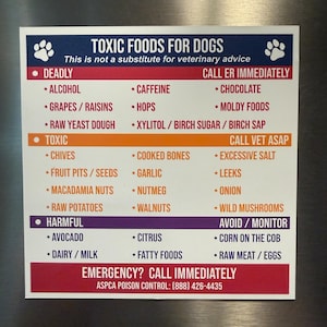Toxische Lebensmittel für Hunde Magnet | Nachschlagewerk zur Sicherheit von Haustieren | Lebensmittel, die Hunde nicht fressen | Hunde Mama und Papa Geschenk | 13 cm
