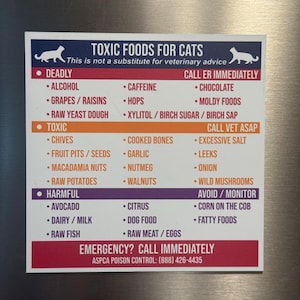 Toxic Foods for Cats Chart Magnet | Pet Safety Reference Guide | Foods Cats Cant Eat | Cat Mom Gift | 5 Inch
