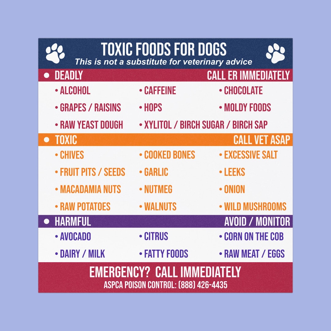Toxic Foods for Dogs Chart Magnet | Pet Safety Reference Guide | Foods ...