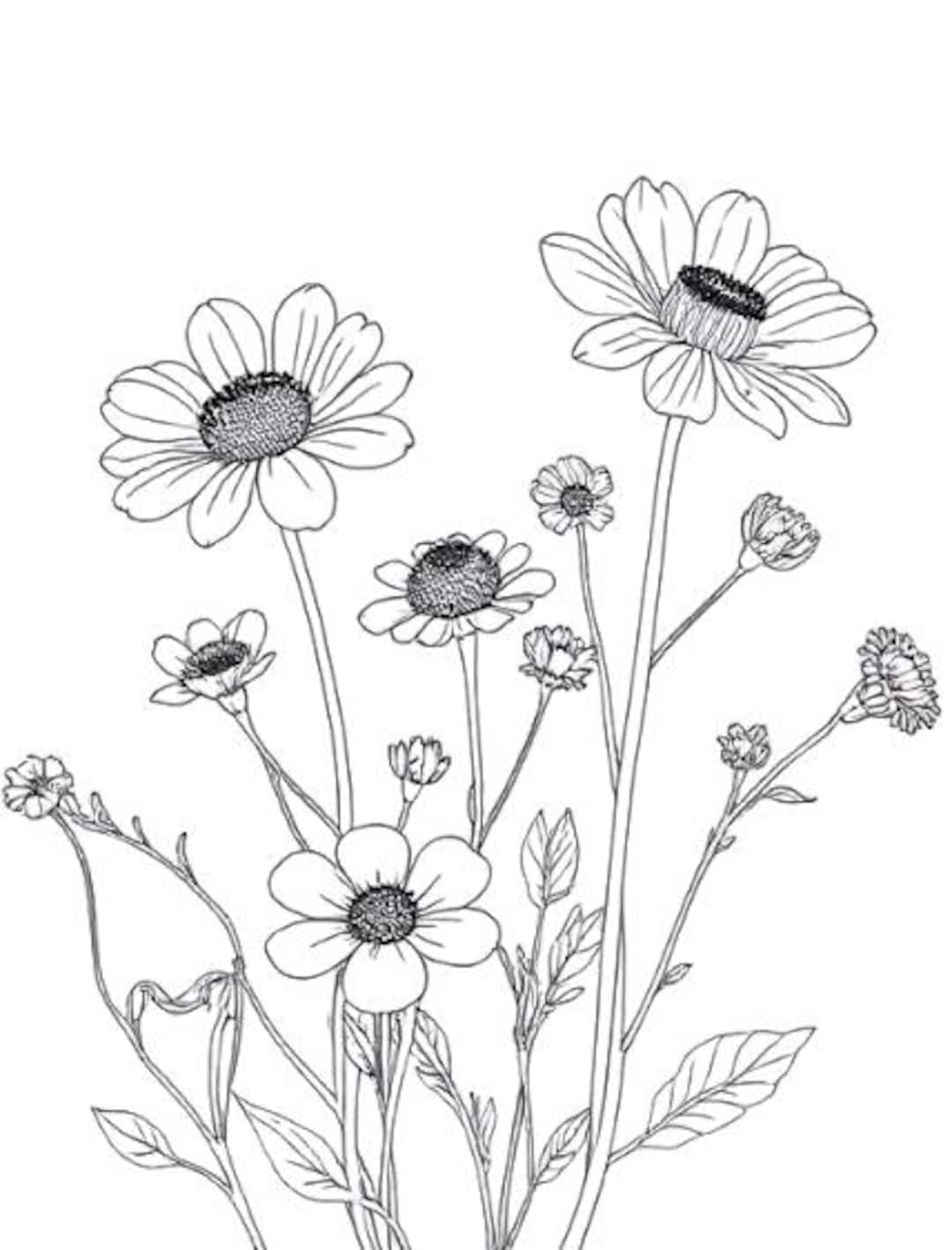 20 Flower Coloring Pages for Adults and Kids, Stress Relief Coloring Pages,  Pdf Flowers Coloring Sheet, Instant Digital Download,wildflowers - Etsy, image size:1080x1418