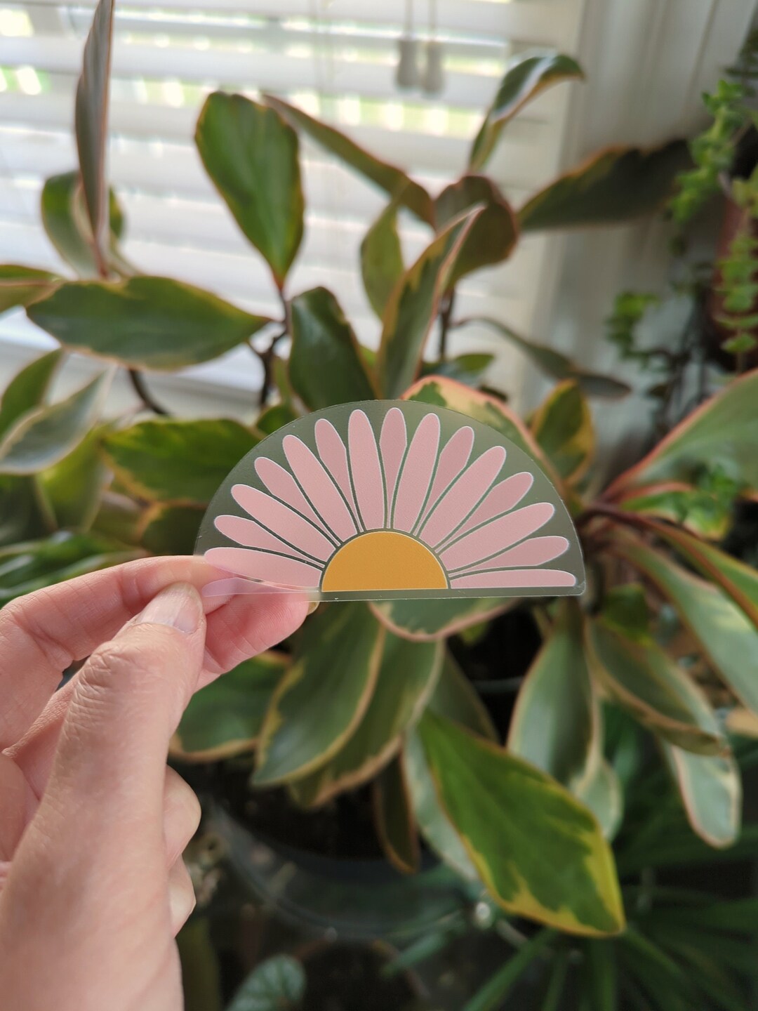 Pink Daisy Sticker Pink Daisy Vinyl Sticker: Transparent Laptop Decal - Etsy