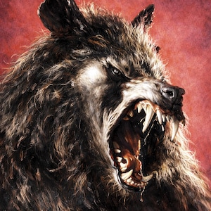 May include: A detailed illustration of a snarling werewolf with dark brown fur, sharp teeth, and glowing eyes against a textured red background. The artwork features the text Boris Howler in the bottom right corner with a small skull icon below it.