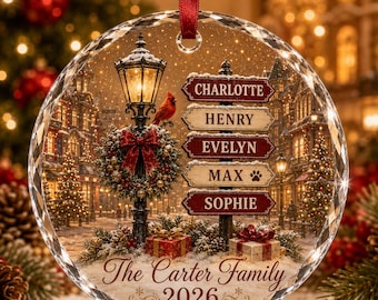 Puede incluir: Un adorno navideño redondo de cristal facetado con una escena callejera invernal, una farola, un cardenal rojo y un poste señalizador con los nombres Charlotte, Henry, Evelyn, Max y Sophie, junto al texto The Carter Family 2026.